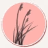 Grass Illustration