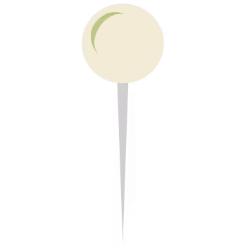Pin