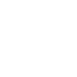 Bayer