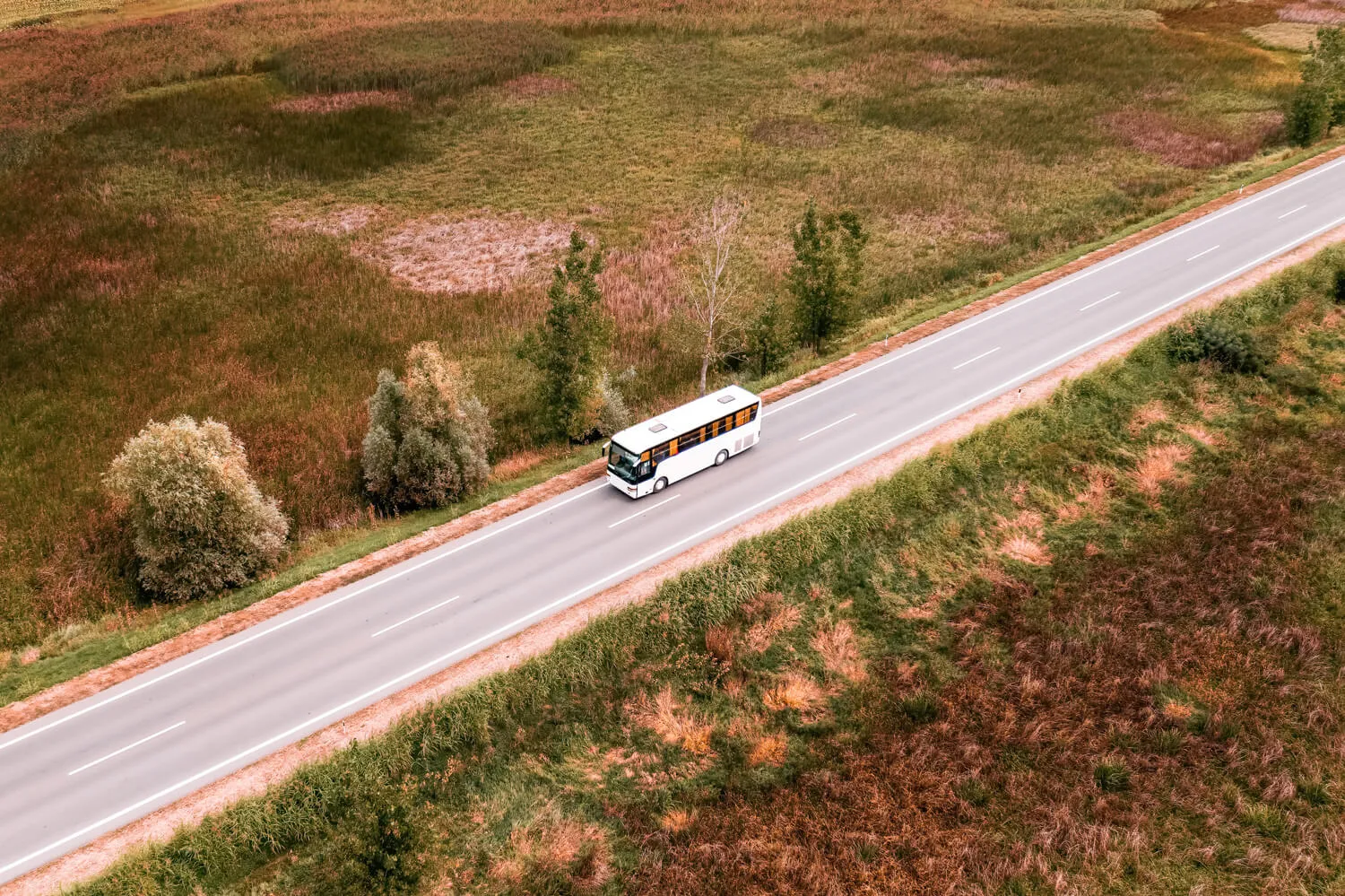 Bus driving along a rural road surrounded by open fields and trees