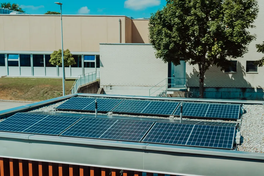panouri-fotovoltaice-afacere-firma