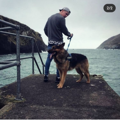 Profile image of team member at Harrier