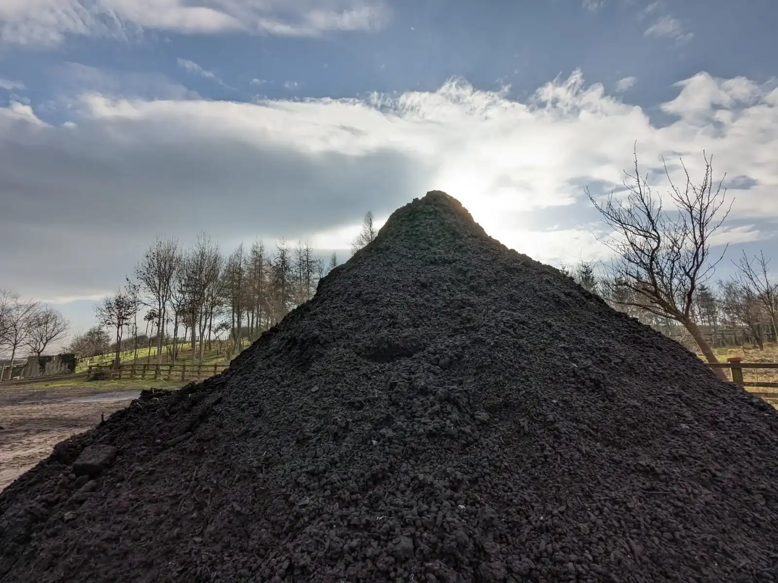 bulk biochar
