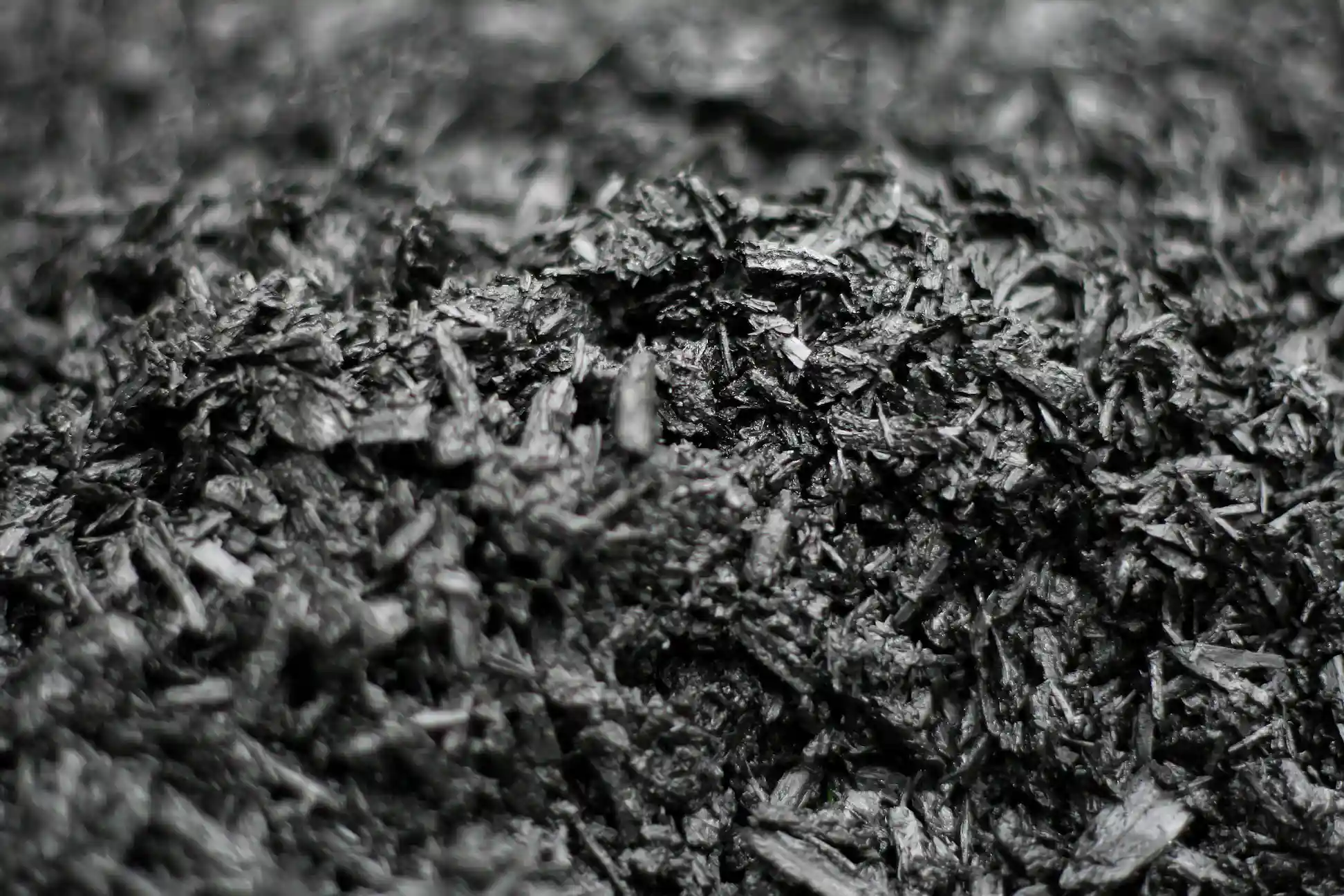Biochar close up