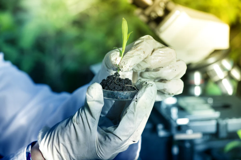 Trialing biochar