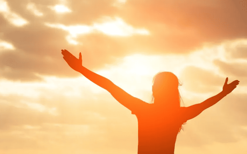 тврђава радости