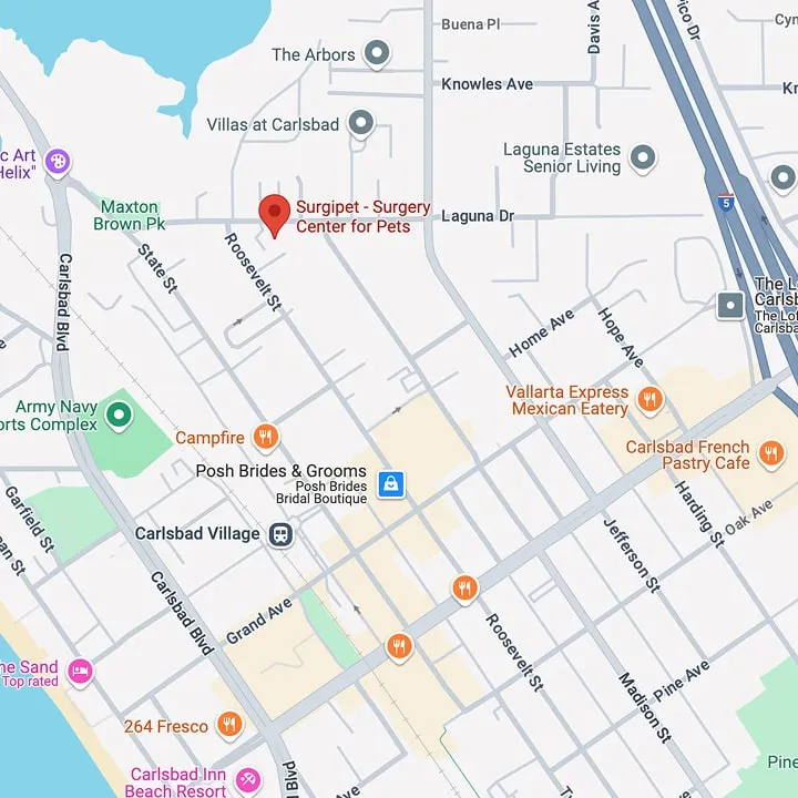 surgery map