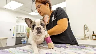 limping consultation