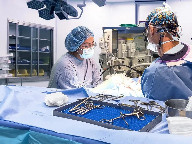 pet surgery