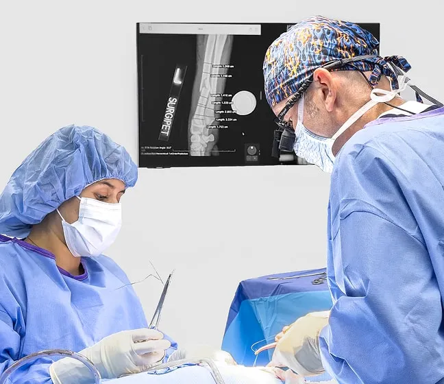 Pet surgery