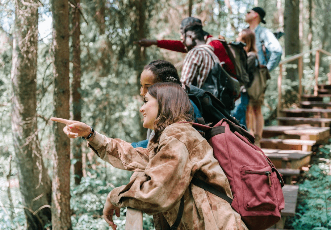 tour company, tour leader, service, dollars, country, group