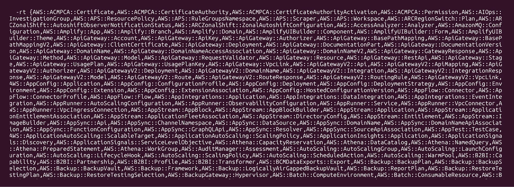 Terminal showing extensive list of AWS service types parsed by CloudConqueror