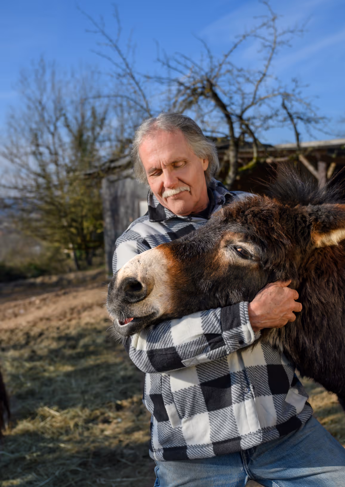 Förderprojekt Saartoto Jakobshof. Mann mit Tier