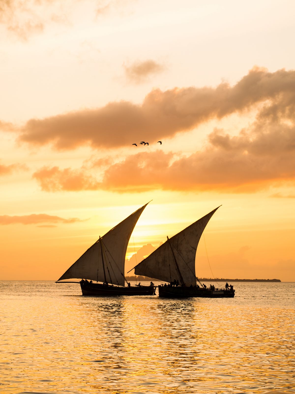 dhow in sea photo