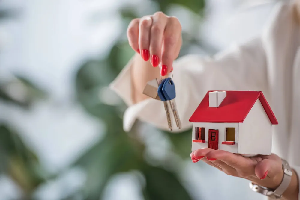 Real Estate and Development