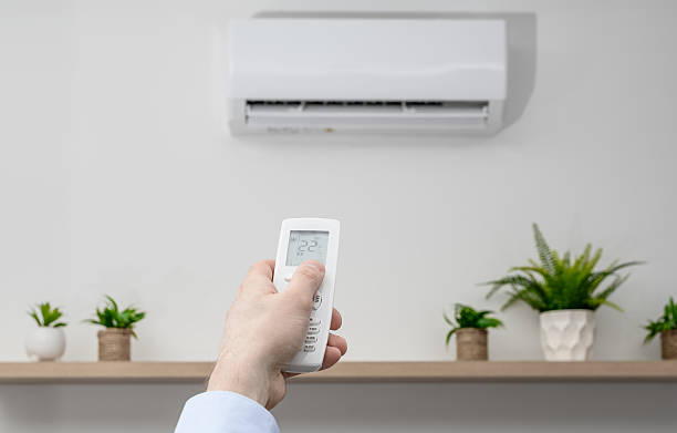 Hand holding remote control adjusting air conditioner near potted plants