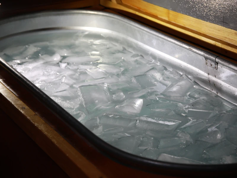 A bathtub filled with Ice water