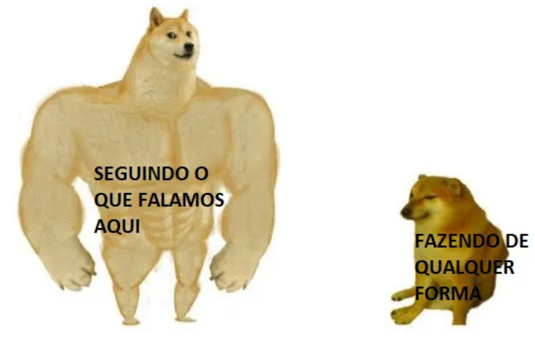 meme e um cachorro grande falando "seguindo o que falamos aqui" e um cachorro pequeno falando "fazendo de qualquer forma"