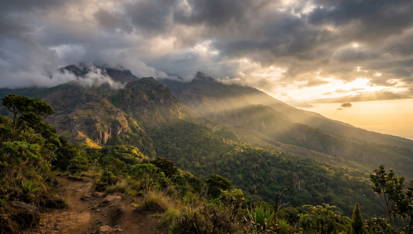 Cameroon hero -- Mount Cameroon
