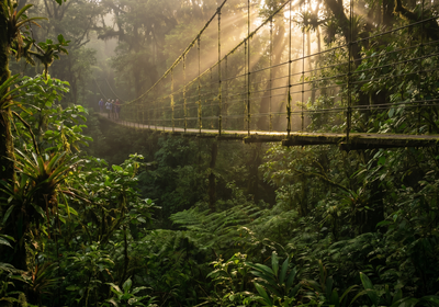 Costa Rica -- Monteverde Hanging Bridges