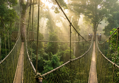 Ghana -- Kakum National Park canopy walk