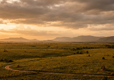 Guyana -- Rupununi Savannah