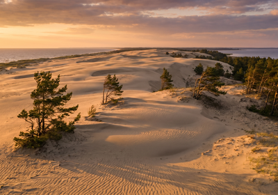 Lithuania -- The Curonian Spit sand dunes