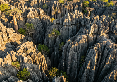 Madagascar -- Tsingy de Bemaraha National Park