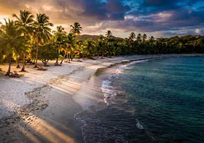 Martinique -- Les Salines Beach