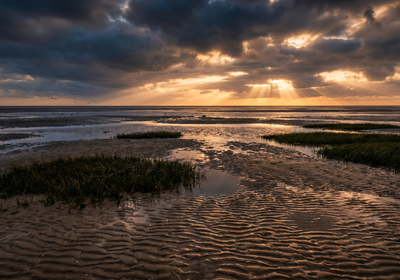 Netherlands -- The Wadden Sea mudflats