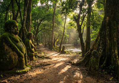 Nigeria -- Osun-Osogbo Sacred Grove