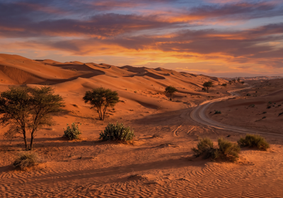 Oman -- The Wahiba Sands