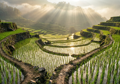 Philippines -- Banaue Rice Terraces