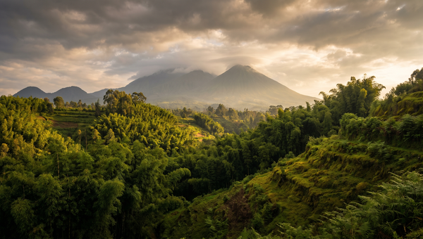 Rwanda hero -- The Virunga Mountains in Volcanoes National Park