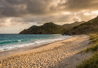 Saint Barthelemy -- Saline Beach