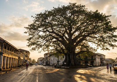 Sierra Leone -- The Cotton Tree, Freetown