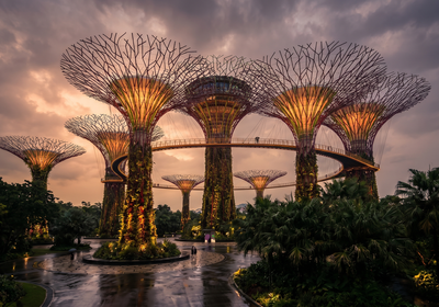 Singapore -- Gardens by the Bay Supertree Grove