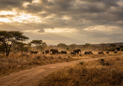 Swaziland -- Hlane Royal National Park