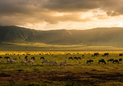 Tanzania -- Ngorongoro Crater
