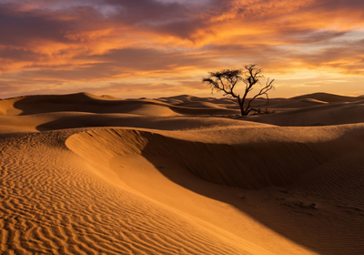 Tunisia -- The Sahara Desert