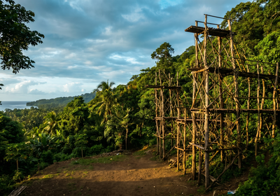 Vanuatu -- Land diving towers, Pentecost Island