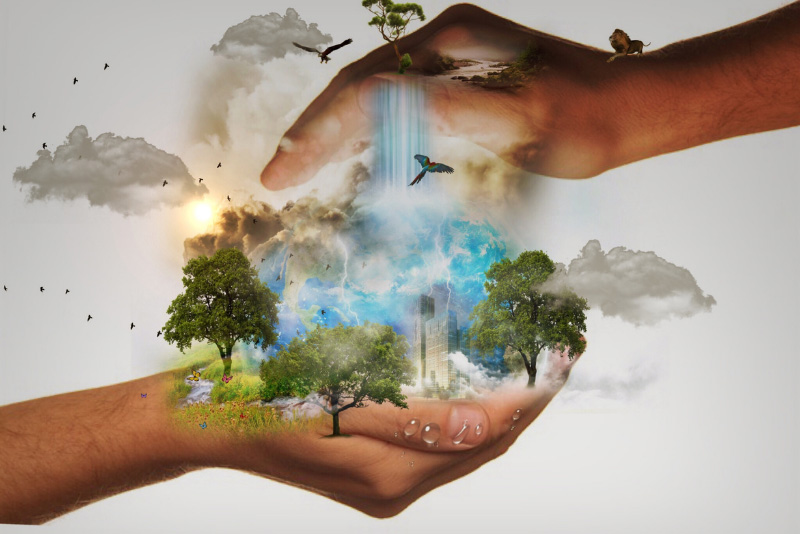 stock photo hands holding environment symbolism