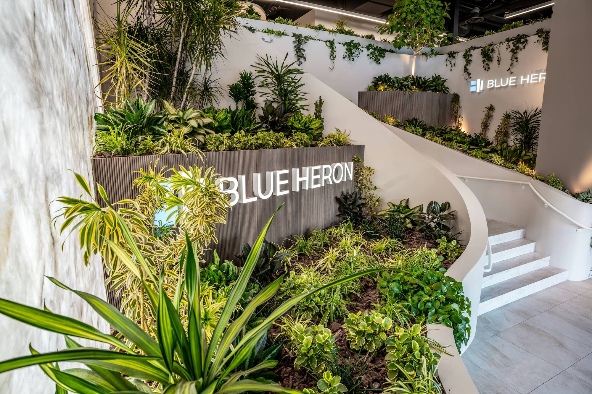 Indoor landscaping and planting at the Blue Heron office in Las Vegas