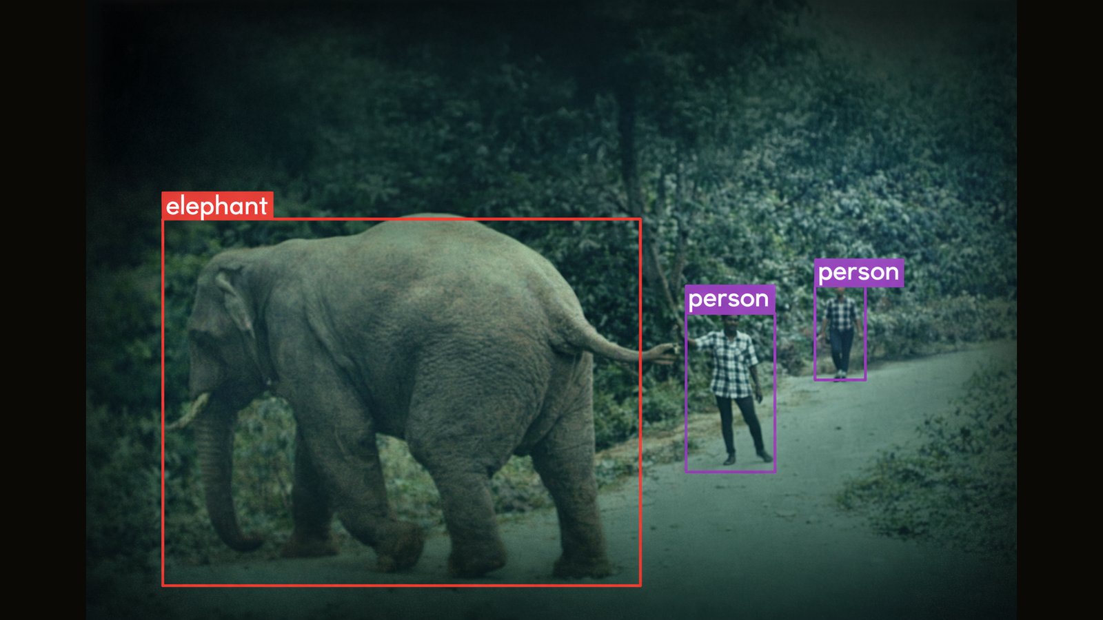 Human-wildlife conflict alert: Asian elephant with persons
