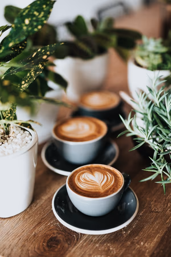 A table of coffee cups with plants.