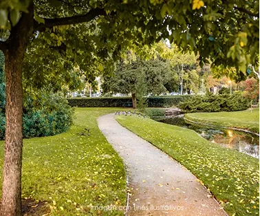 Áreas Verdes | Casa Camporal