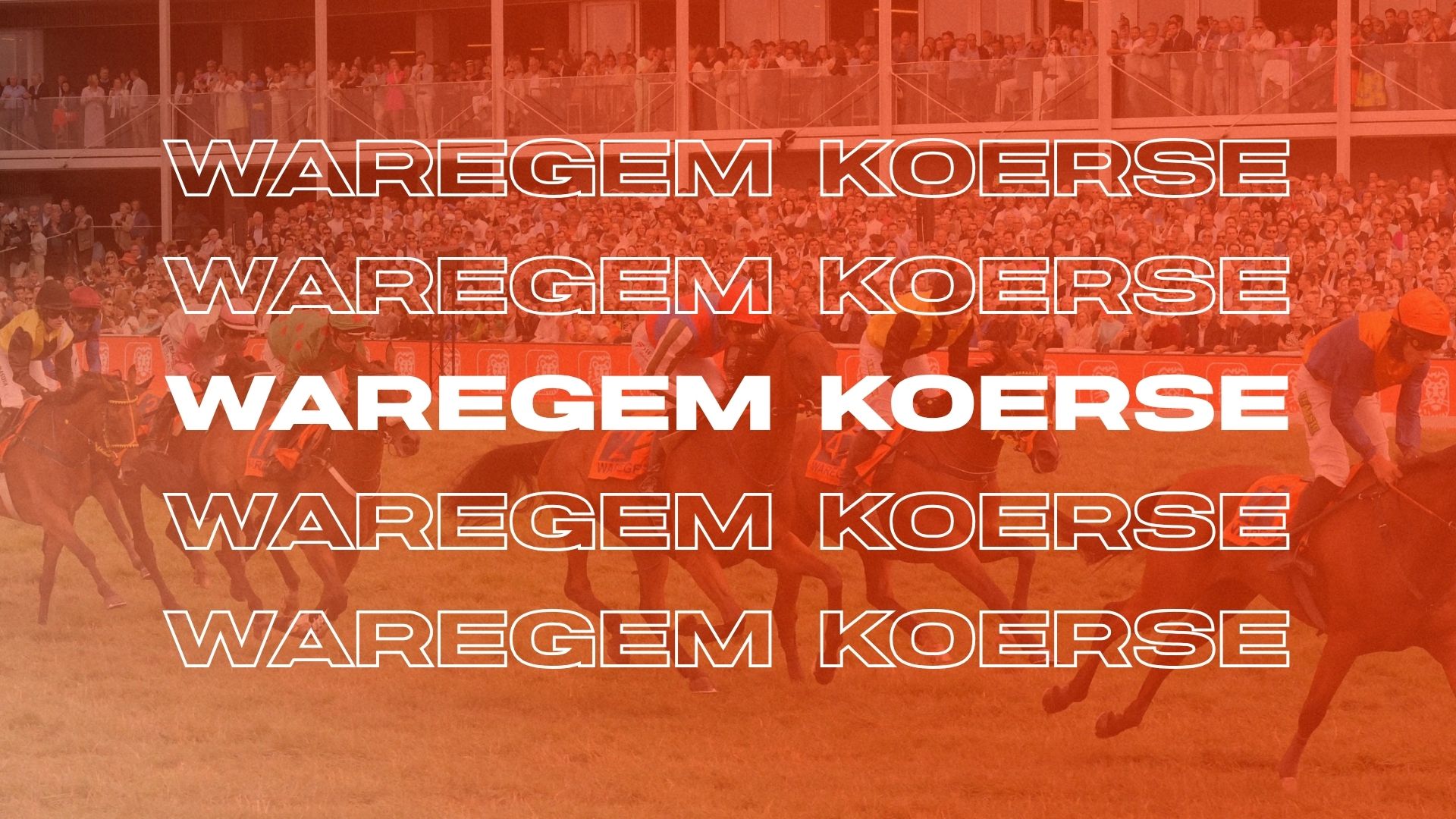 Waregem Koerse