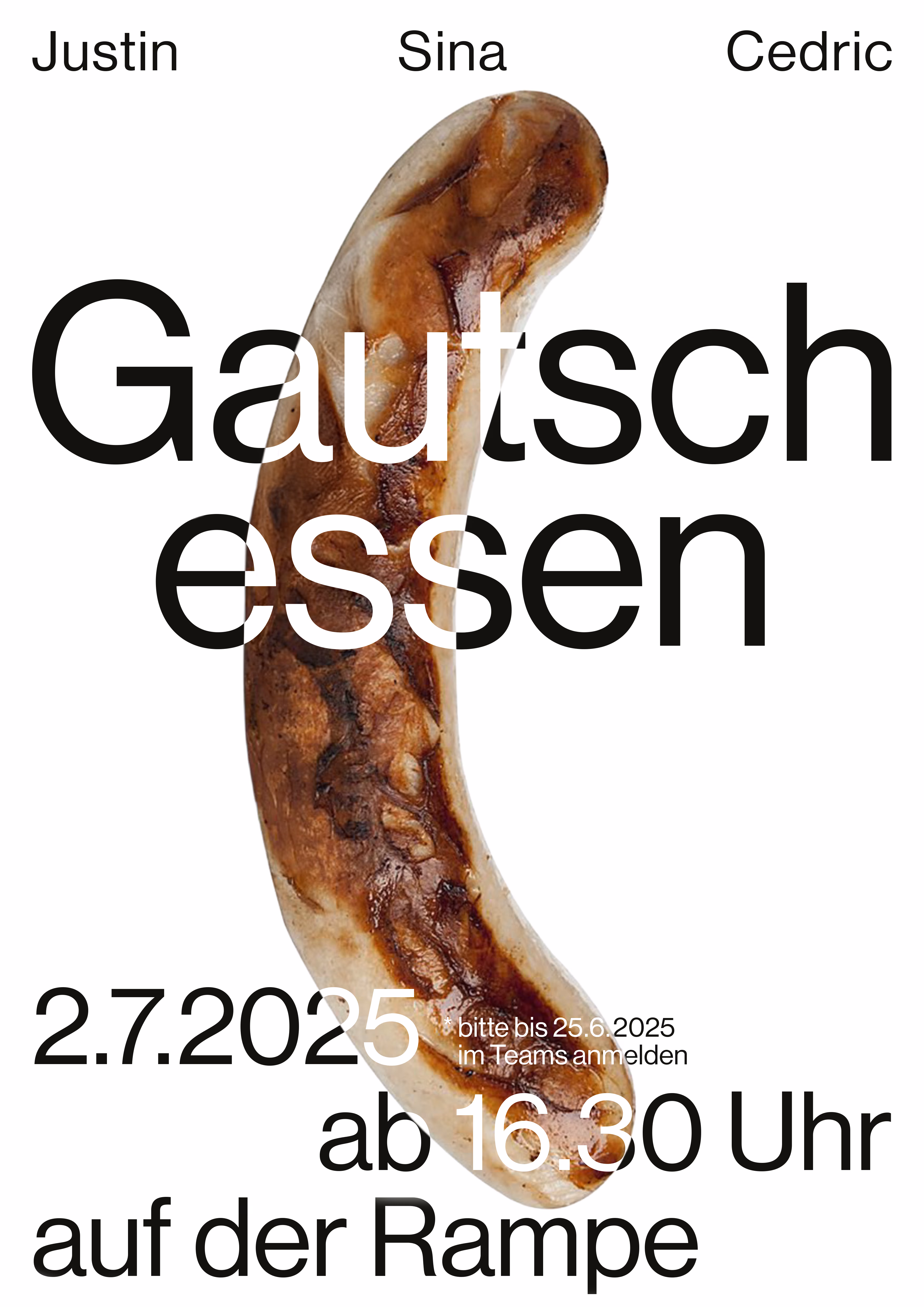 Poster for the project entitled: Gautschessen
