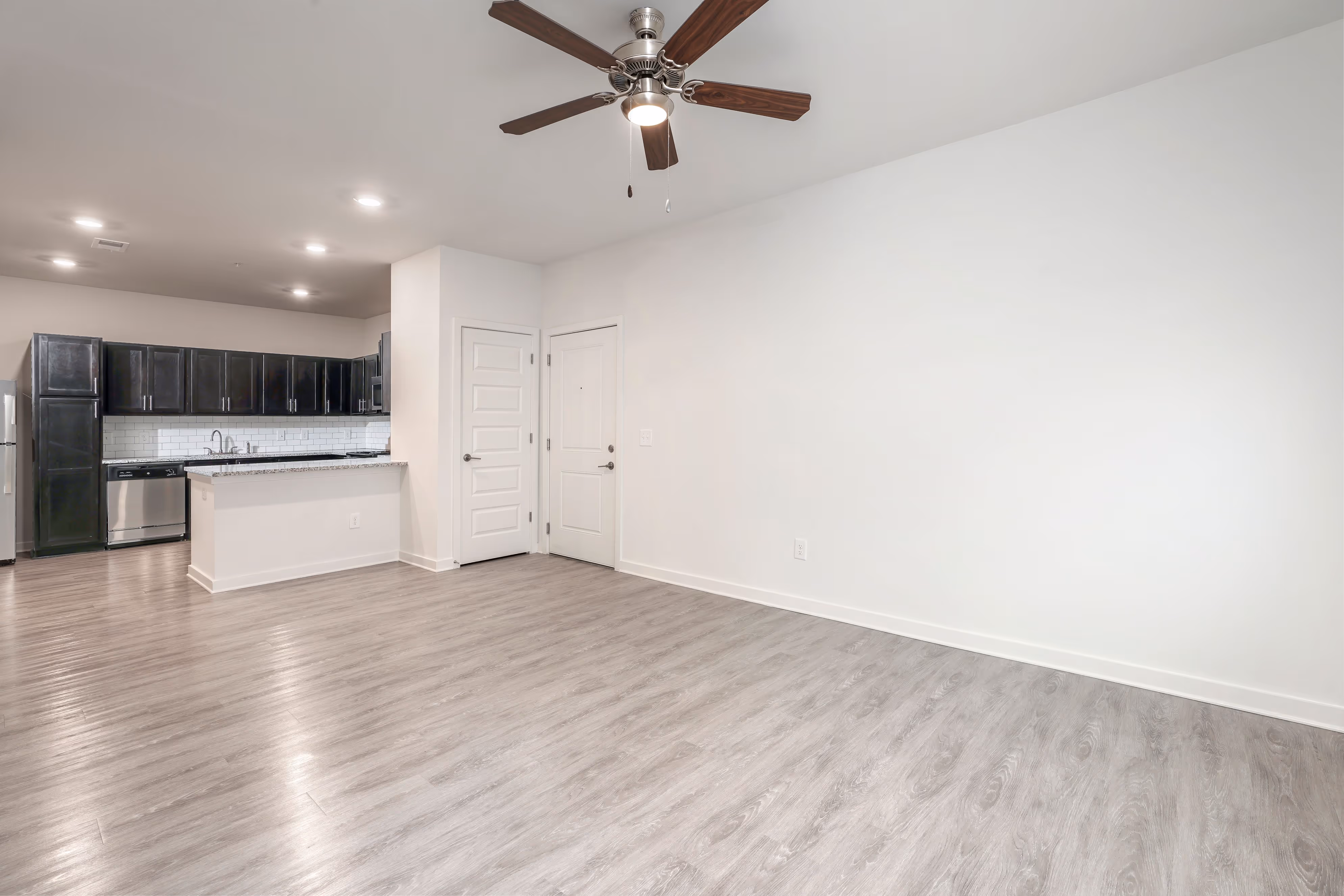 living area and kitchen