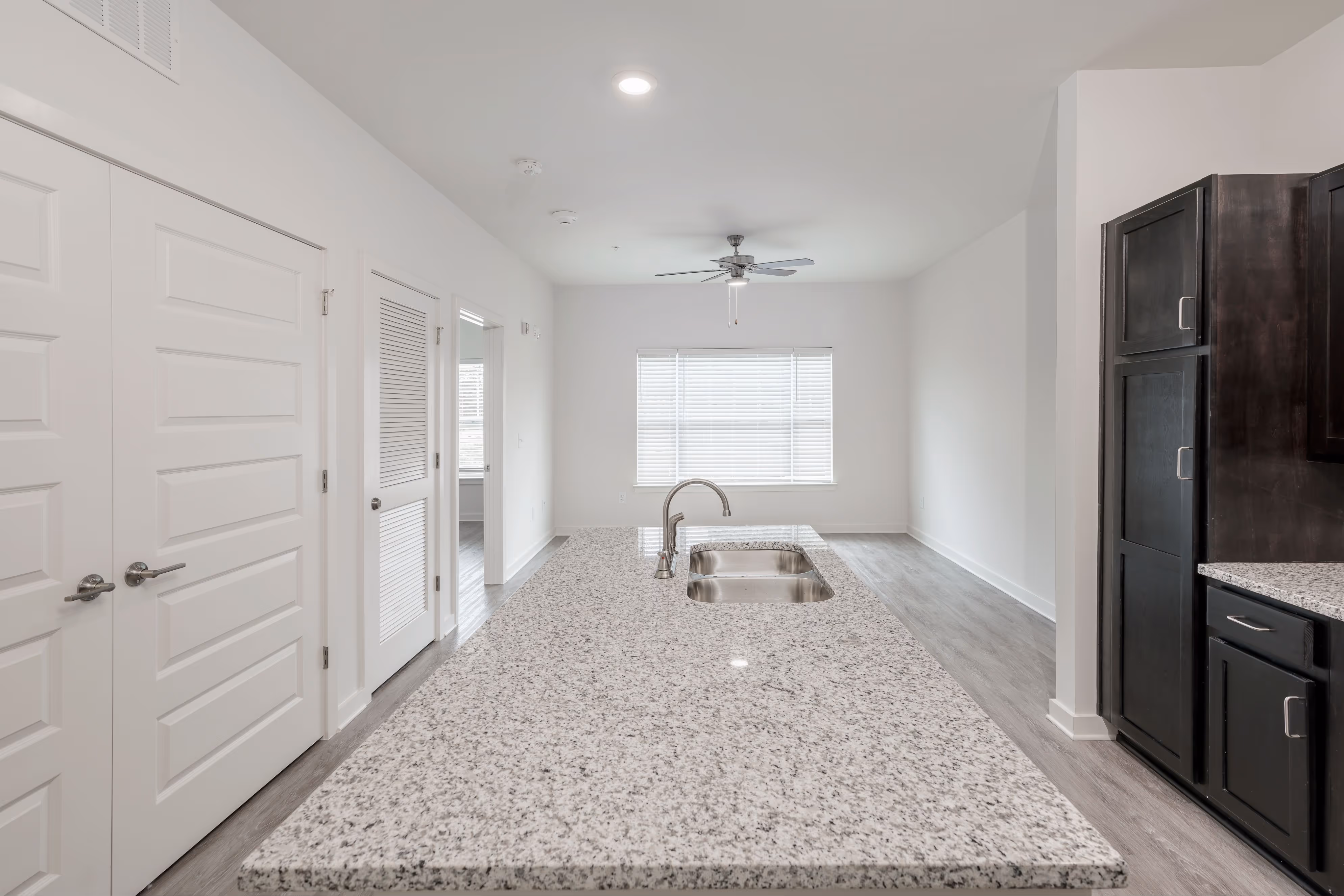 kitchen and living area